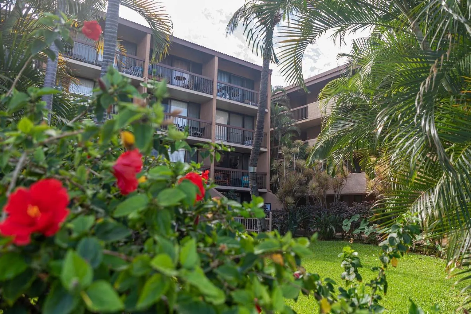 Willa Maui Vista 1403 Kihei Stany Zjednoczone Ameryki